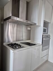 Park Infinia At Wee Nam (D11), Condominium #572745001